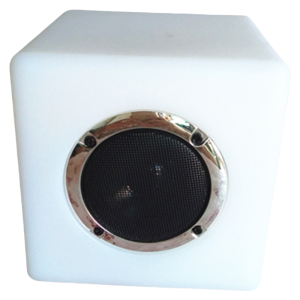 bluetooth speakers with amplifier